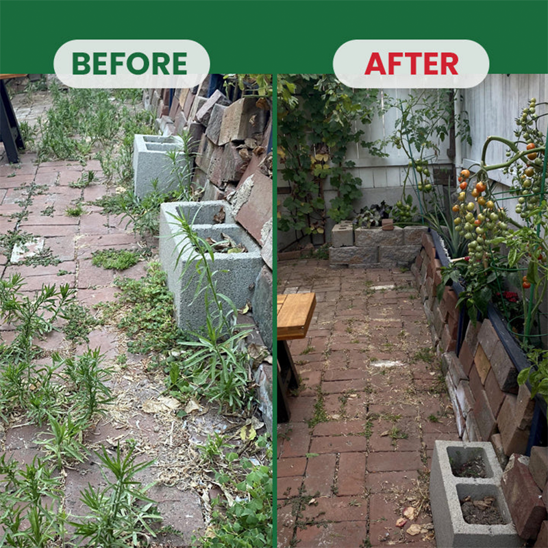 🌱Powerful Granular Weed Killer — Target Tough Weeds at the Root🔥