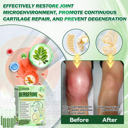 🏥  𝐏𝐮𝐫𝐞𝐥𝐨𝐫𝐚® 𝐁𝐞𝐫𝐛𝐞𝐫𝐢𝐧𝐞 𝟖-𝐈𝐍-𝟏 𝐒𝐥𝐢𝐦 & 𝐇𝐞𝐚𝐥𝐭𝐡𝐲 𝐒𝐞𝐫𝐮𝐦 𝐍𝐚𝐧𝐨 𝐌𝐢𝐜𝐫𝐨𝐧𝐞𝐞𝐝𝐥𝐞 𝐏𝐚𝐭𝐜𝐡 (𝐎𝐧𝐜𝐞 𝐃𝐚𝐢𝐥𝐲, 𝐯𝐢𝐬𝐢𝐛𝐥𝐞 𝐜𝐡𝐚𝐧𝐠𝐞𝐬 𝐢𝐧 𝟕 𝐝𝐚𝐲𝐬）✅ 𝐎𝐛𝐞𝐬𝐢𝐭𝐲, 𝐃𝐢𝐚𝐛𝐞𝐭𝐞𝐬, 𝐒𝐥𝐞𝐞𝐩 𝐀𝐩𝐧𝐞𝐚, 𝐀𝐧𝐝 𝐉𝐨𝐢𝐧𝐭 𝐈𝐬𝐬𝐮𝐞𝐬